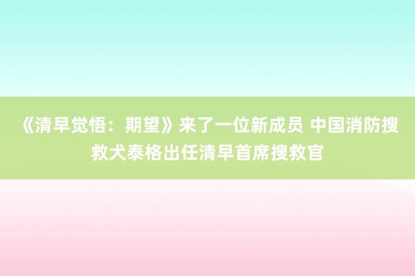 《清早觉悟：期望》来了一位新成员 中国消防搜救犬泰格出任清早首席搜救官