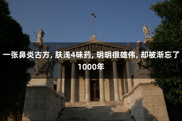 一张鼻炎古方, 肤浅4味药, 明明很雄伟, 却被渐忘了1000年