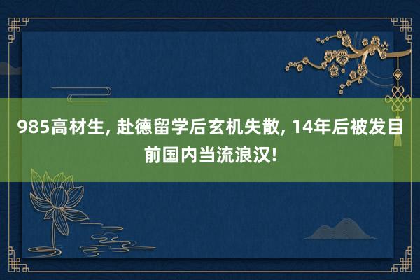 985高材生, 赴德留学后玄机失散, 14年后被发目前国内当流浪汉!