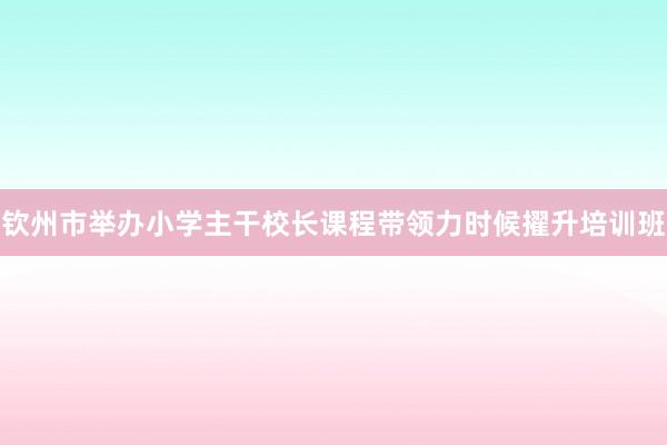 钦州市举办小学主干校长课程带领力时候擢升培训班