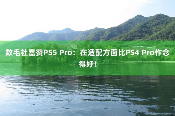 数毛社嘉赞PS5 Pro：在适配方面比PS4 Pro作念得好！